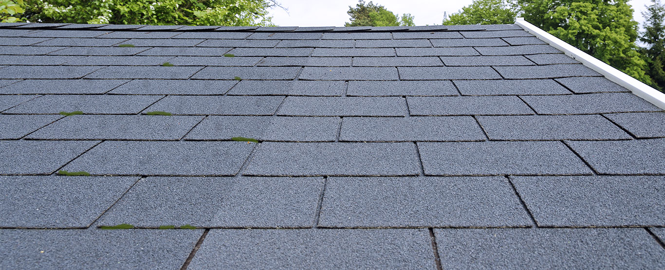 Moss, mold, and lichen,<br />are no match for us.